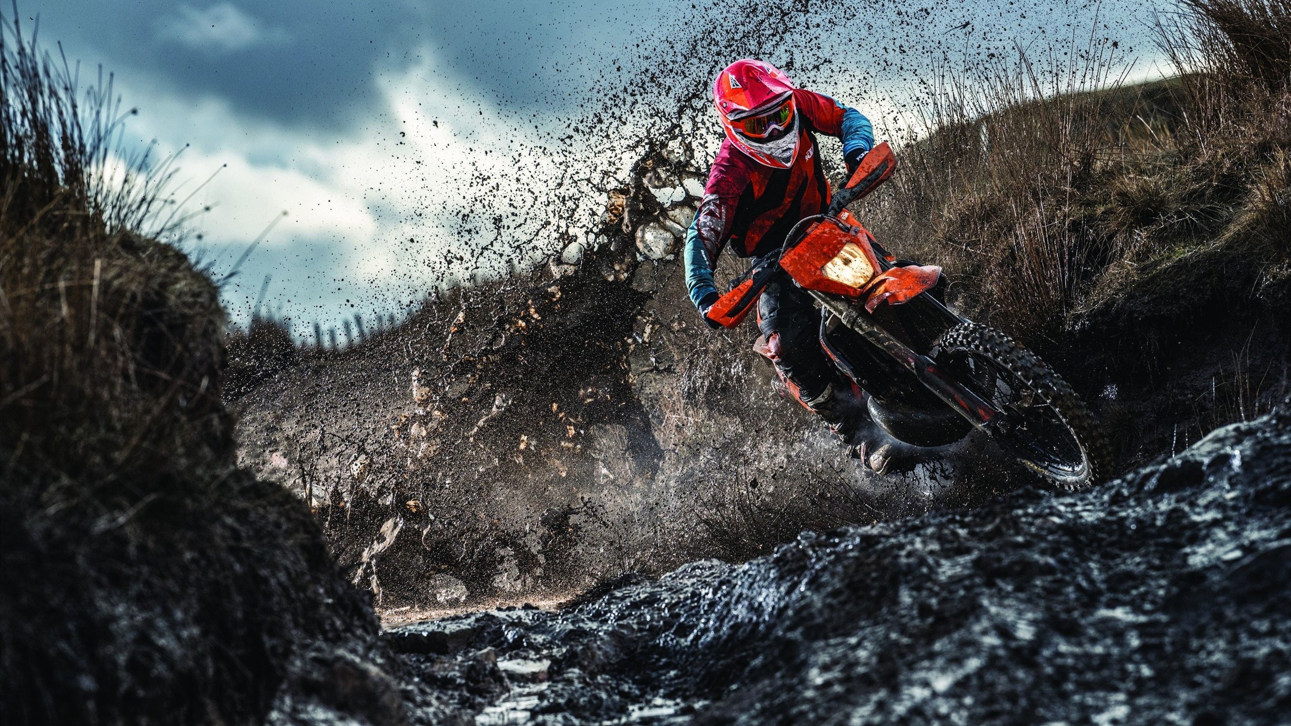 公牛球队年轻阵容逐渐成熟，公牛队以前的球员